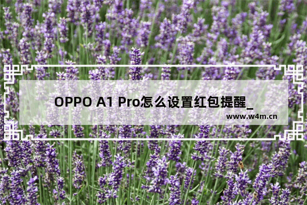 OPPO A1 Pro怎么设置红包提醒_如何设置红包提醒