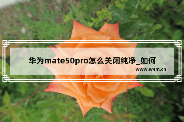 华为mate50pro怎么关闭纯净_如何关闭纯净