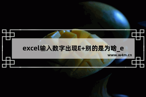 excel输入数字出现E+别的是为啥_excel输入数字出现E+数字的原因