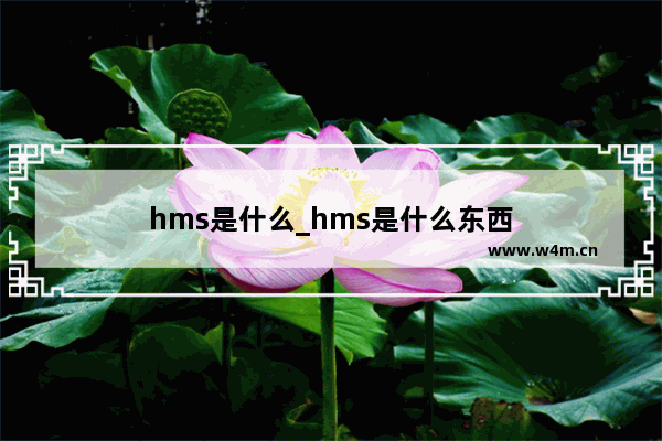 hms是什么_hms是什么东西