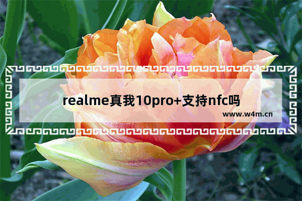 realme真我10pro+支持nfc吗_真我10pro+有nfc功能吗