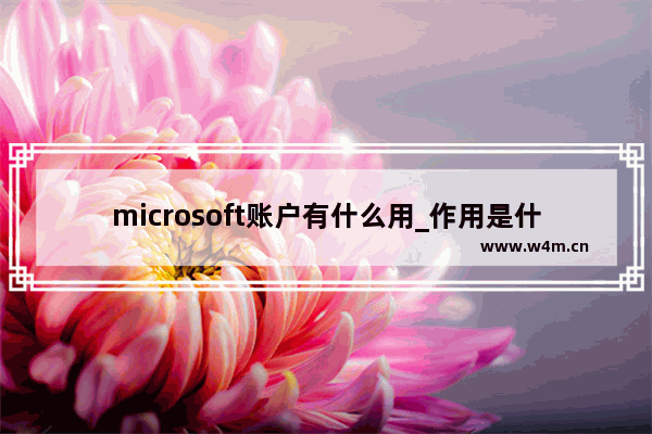 microsoft账户有什么用_作用是什么