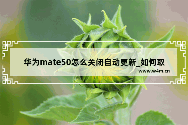 华为mate50怎么关闭自动更新_如何取消自动更新