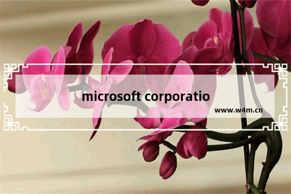 microsoft corporation是什么软件_可以卸载吗