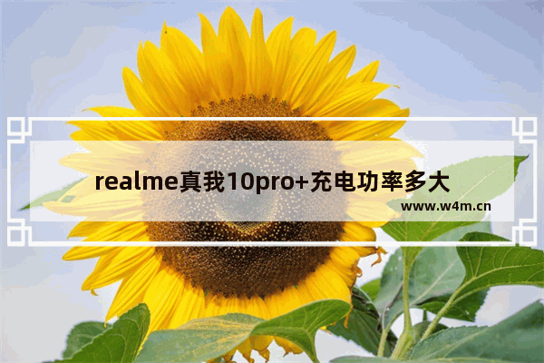 realme真我10pro+充电功率多大_真我10pro+充电功率