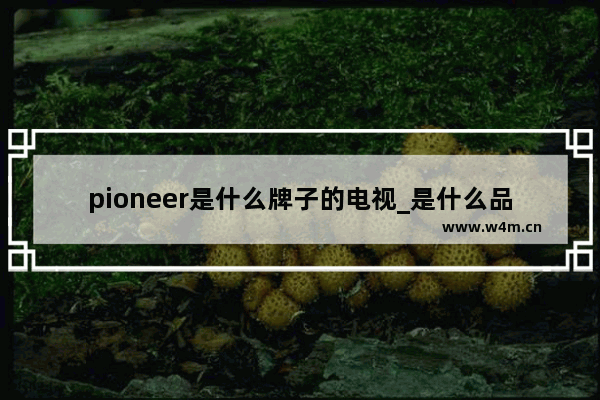 pioneer是什么牌子的电视_是什么品牌