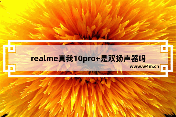 realme真我10pro+是双扬声器吗_真我10pro+是不是双扬声器