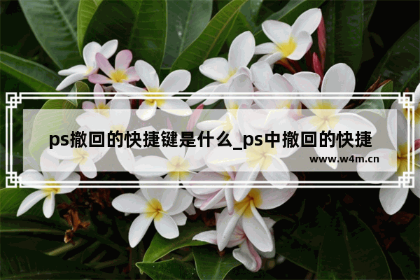 ps撤回的快捷键是什么_ps中撤回的快捷键是什么