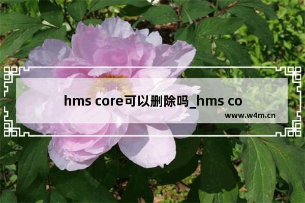 hms core可以删除吗_hms core是什么软件可以卸载吗