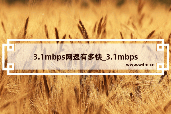 3.1mbps网速有多快_3.1mbps网速是多少