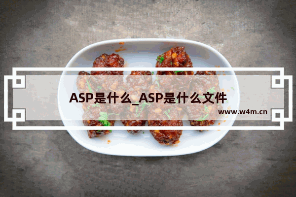 ASP是什么_ASP是什么文件