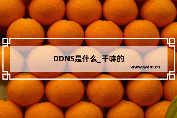 DDNS是什么_干嘛的