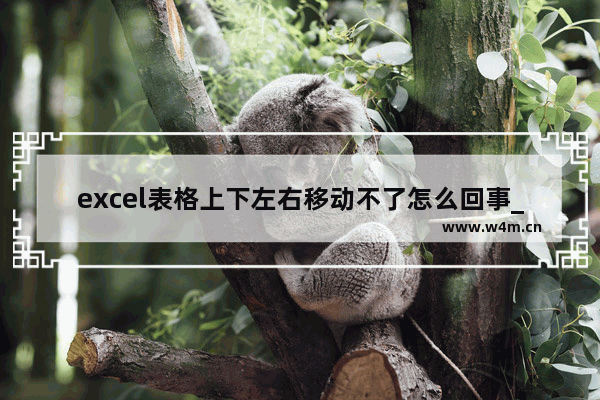 excel表格上下左右移动不了怎么回事_excel表格为啥上下左右移动不了