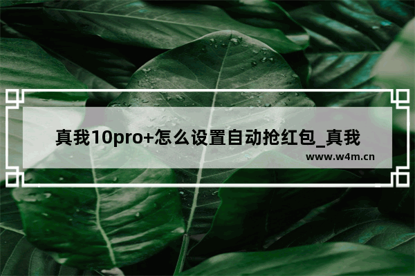 真我10pro+怎么设置自动抢红包_真我10pro+如何设置自动抢红包