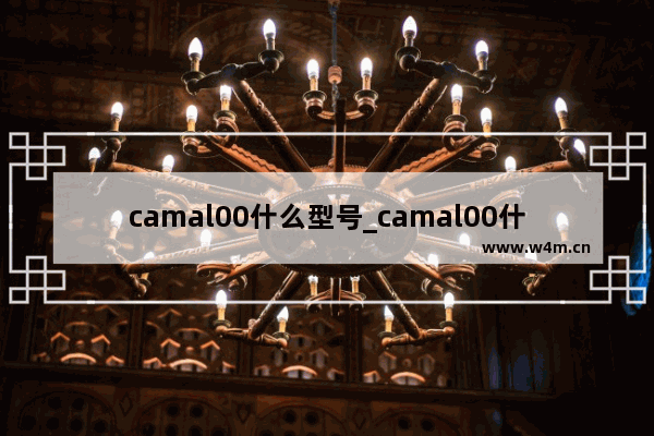 camal00什么型号_camal00什么手机