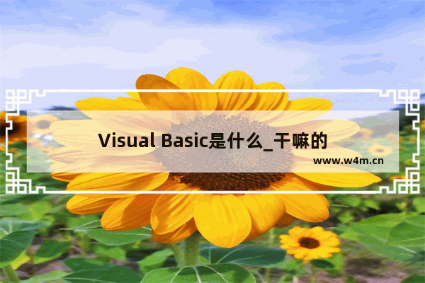 Visual Basic是什么_干嘛的