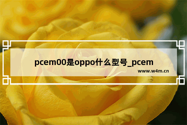 pcem00是oppo什么型号_pcem00是oppo什么手机