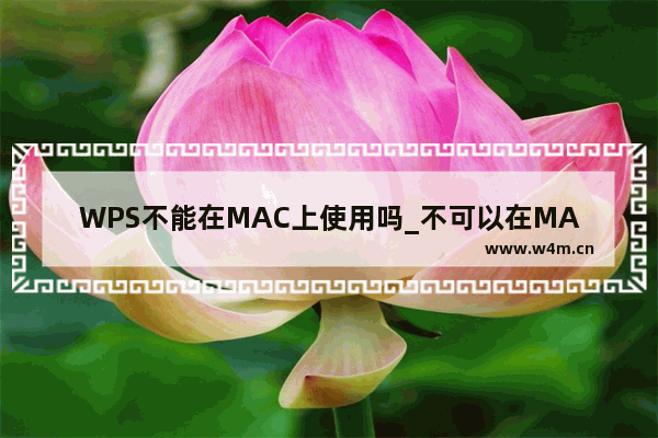 WPS不能在MAC上使用吗_不可以在MAC上使用吗