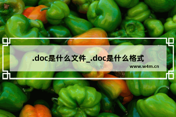 .doc是什么文件_.doc是什么格式