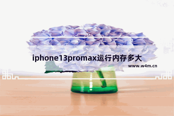 iphone13promax运行内存多大_运存是多少