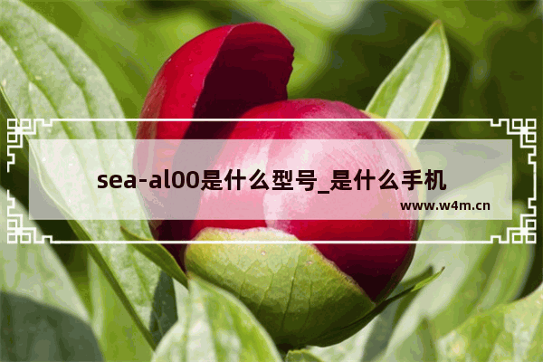 sea-al00是什么型号_是什么手机