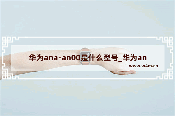 华为ana-an00是什么型号_华为ana-an00是什么手机