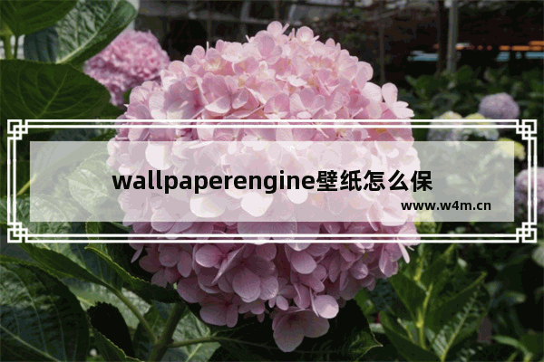 wallpaperengine壁纸怎么保存本地_怎么把wallpaper的壁纸保存到本地