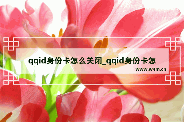 qqid身份卡怎么关闭_qqid身份卡怎么关闭显示