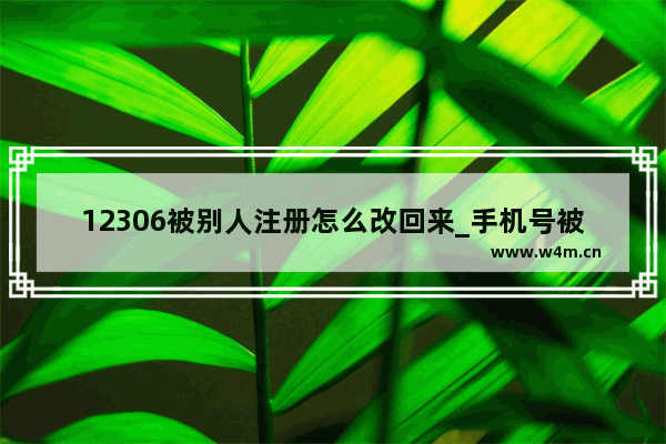 12306被别人注册怎么改回来_手机号被别人注册了怎么改