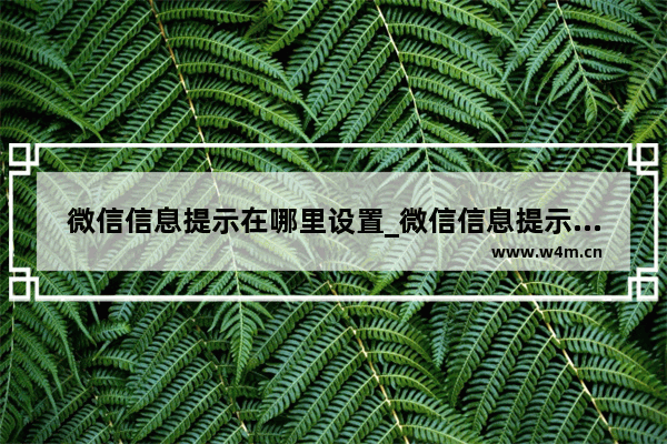 微信信息提示在哪里设置_微信信息提示如何设置