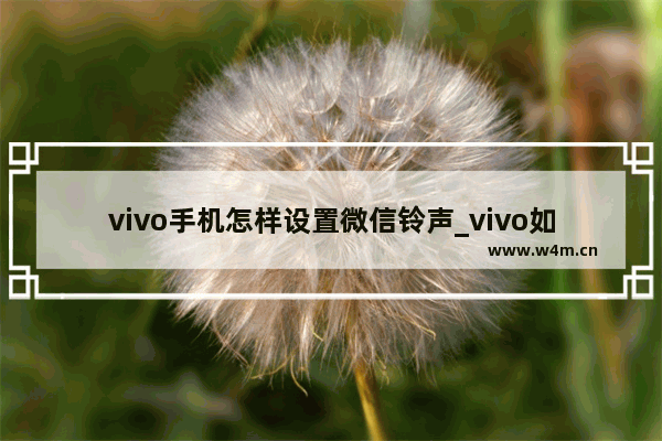 vivo手机怎样设置微信铃声_vivo如何设置微信来电铃声