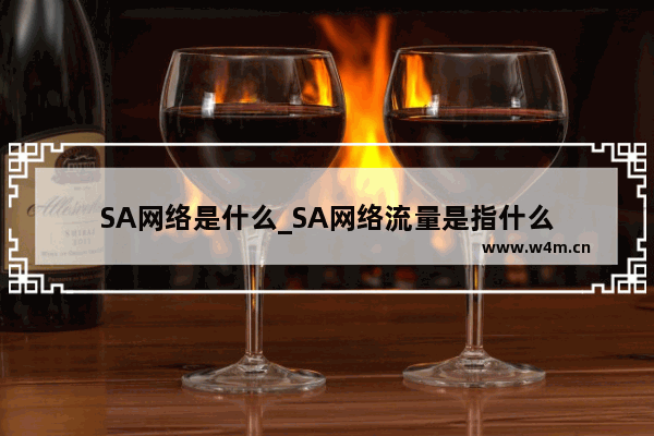 SA网络是什么_SA网络流量是指什么