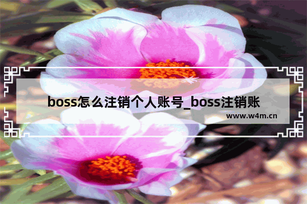 boss怎么注销个人账号_boss注销账号在哪