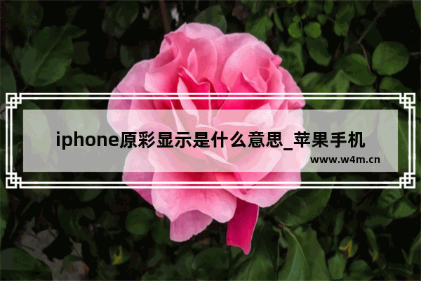 iphone原彩显示是什么意思_苹果手机原彩显示是啥意思