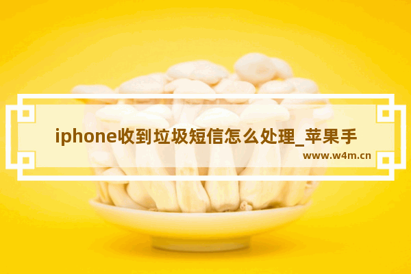 iphone收到垃圾短信怎么处理_苹果手机短信收到垃圾短信怎么办