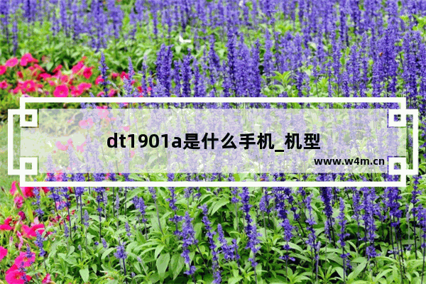 dt1901a是什么手机_机型