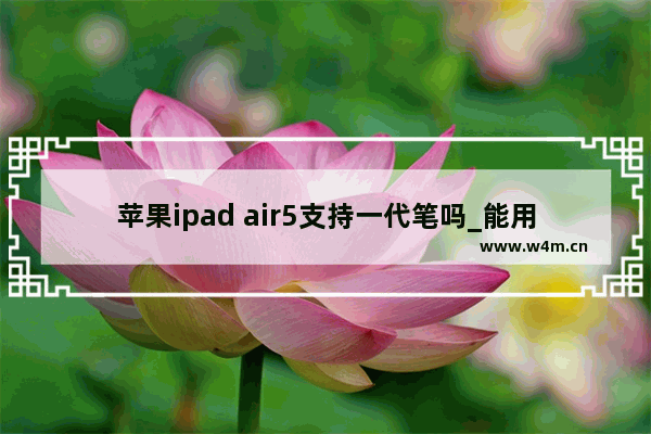 苹果ipad air5支持一代笔吗_能用一代笔吗