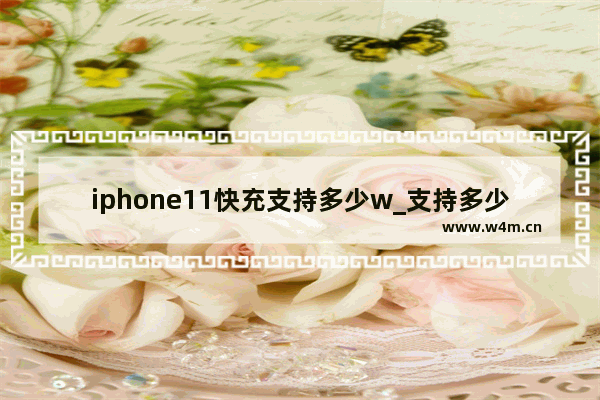 iphone11快充支持多少w_支持多少w快充