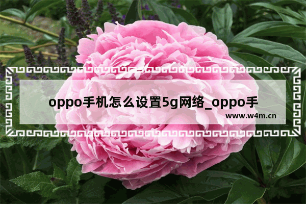 oppo手机怎么设置5g网络_oppo手机如何设置5g网络