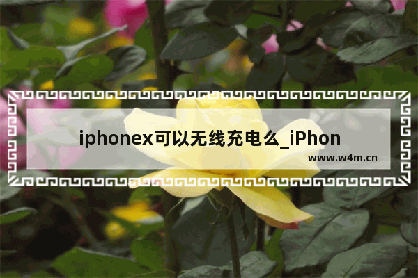 iphonex可以无线充电么_iPhoneX能无线充电吗