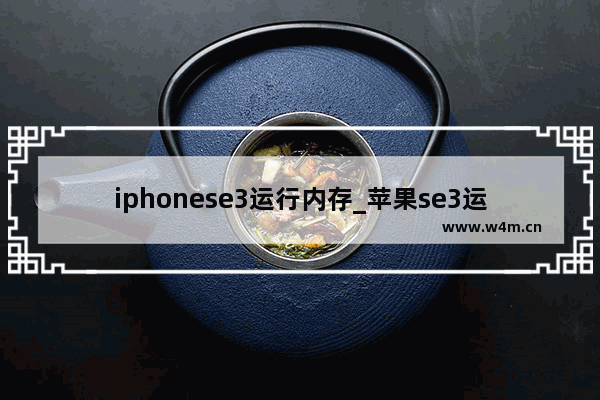 iphonese3运行内存_苹果se3运行内存多大