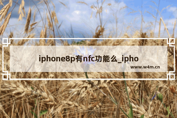 iphone8p有nfc功能么_iphone8p可以使用nfc吗