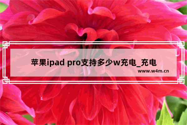 苹果ipad pro支持多少w充电_充电多少w