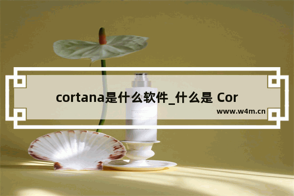 cortana是什么软件_什么是 Cortana