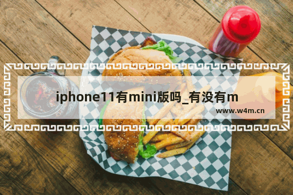 iphone11有mini版吗_有没有mini版