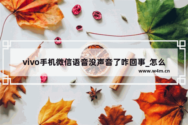 vivo手机微信语音没声音了咋回事_怎么办