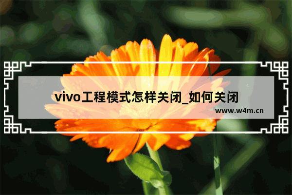 vivo工程模式怎样关闭_如何关闭