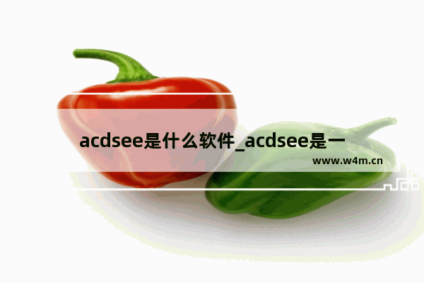 acdsee是什么软件_acdsee是一款什么软件