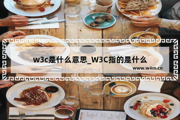 w3c是什么意思_W3C指的是什么