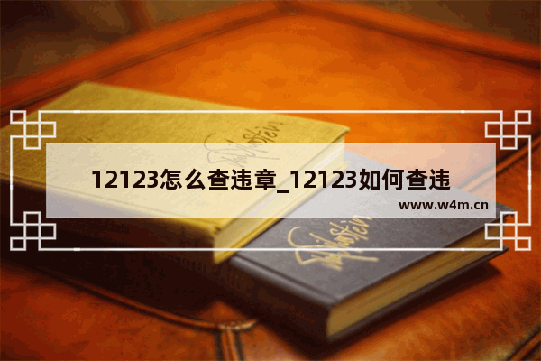 12123怎么查违章_12123如何查违章